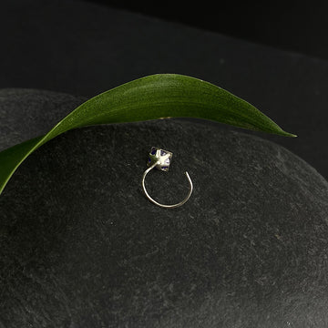 Amethyst Frame Nose Pin